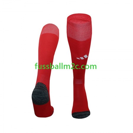 Benfica Lissabon Heim Socken 2024-2025